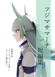 umamusume fan art