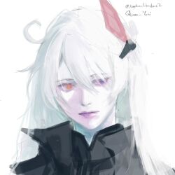 kiana kaslana from honkai (series)