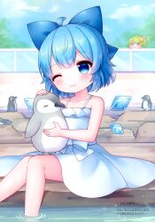 cirno from touhou by coa (chroo x)
