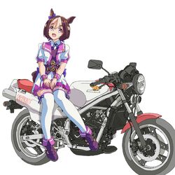 special week (umamusume) from umamusume