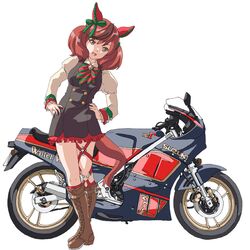 nice nature (umamusume) from suzuki (company)