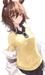 agnes tachyon (tach-nology) (umamusume) from umamusume