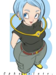 bulma from dragon ball