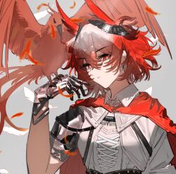 fiammetta (arknights) from arknights
