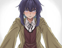 raiden mei from honkai (series)