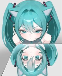 hatsune miku from vocaloid