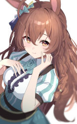 mejiro bright (umamusume) from umamusume