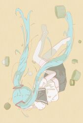 hatsune miku from vocaloid