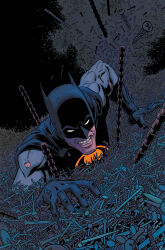 batman from batman (series) by hayden sherman