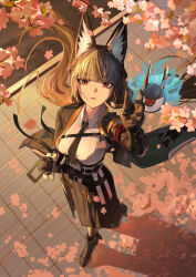hoshimi miyabi from zenless zone zero