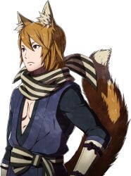 kaden (fire emblem) from fire emblem