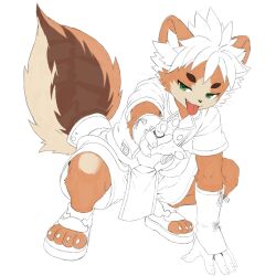 shima (tamacolle) from tamacolle