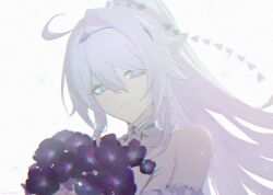 kiana kaslana from honkai (series)