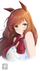 maruzensky (umamusume) from umamusume