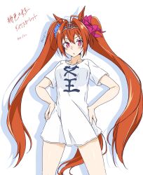 daiwa scarlet (umamusume) from umamusume
