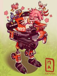 amy rose from sonic (series)