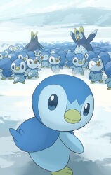piplup from pokemon
