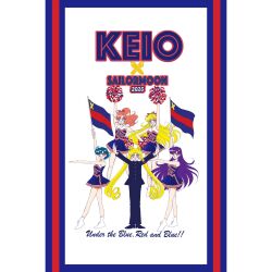 aino minako from bishoujo senshi sailor moon by takeuchi naoko