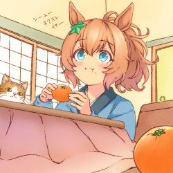 taiki shuttle (umamusume) from umamusume