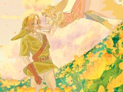link from the legend of zelda