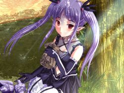 iris (dungeon crusaderz) from dungeon crusaderz