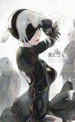 2b (nier:automata) from nier (series)