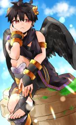 dark pit from kid icarus