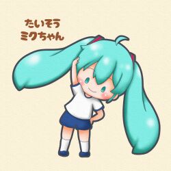 hatsune miku from vocaloid