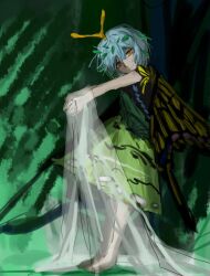 eternity larva from touhou by otogisum3