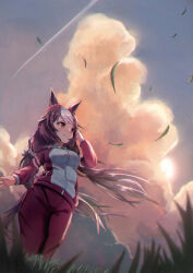 yamanin zephyr (umamusume) from umamusume