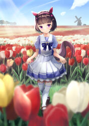 nishino flower (umamusume) from umamusume