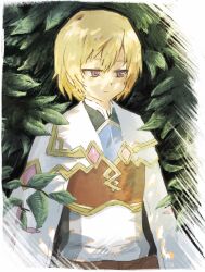 lest (rune factory) from rune factory
