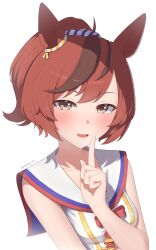 nice nature (umamusume) from umamusume