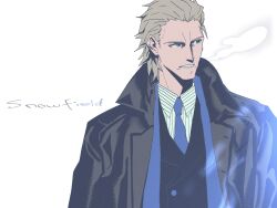 fate/strange fake fan art
