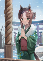 fine motion (umamusume) from umamusume
