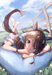 daring tact (umamusume) from umamusume