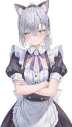 silver wolf (honkai: star rail) from honkai: star rail