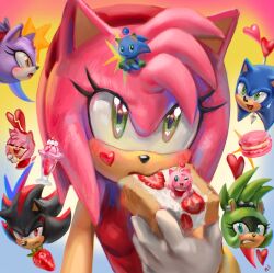 amy rose from sonic (series)