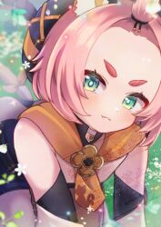 diona (genshin impact) from genshin impact