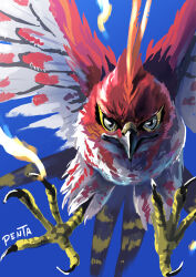 talonflame from pokemon