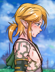link from the legend of zelda