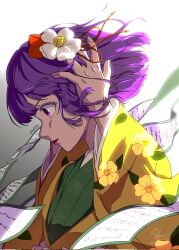 hieda no akyuu from touhou by hoshiringo0902