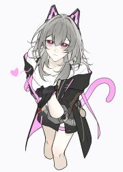 stelle (honkai: star rail) from honkai: star rail