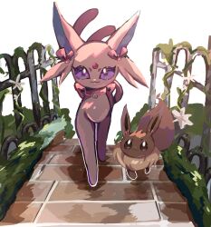 eevee from pokemon