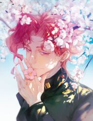 kakyoin noriaki from jojo no kimyou na bouken