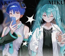 hatsune miku from vocaloid