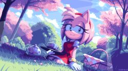 amy rose from sonic (series)