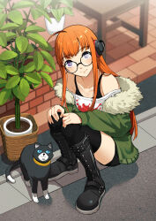 morgana (persona 5) from persona