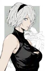2b (nier:automata) from nier:automata
