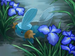 mudkip from pokemon by fusenryo